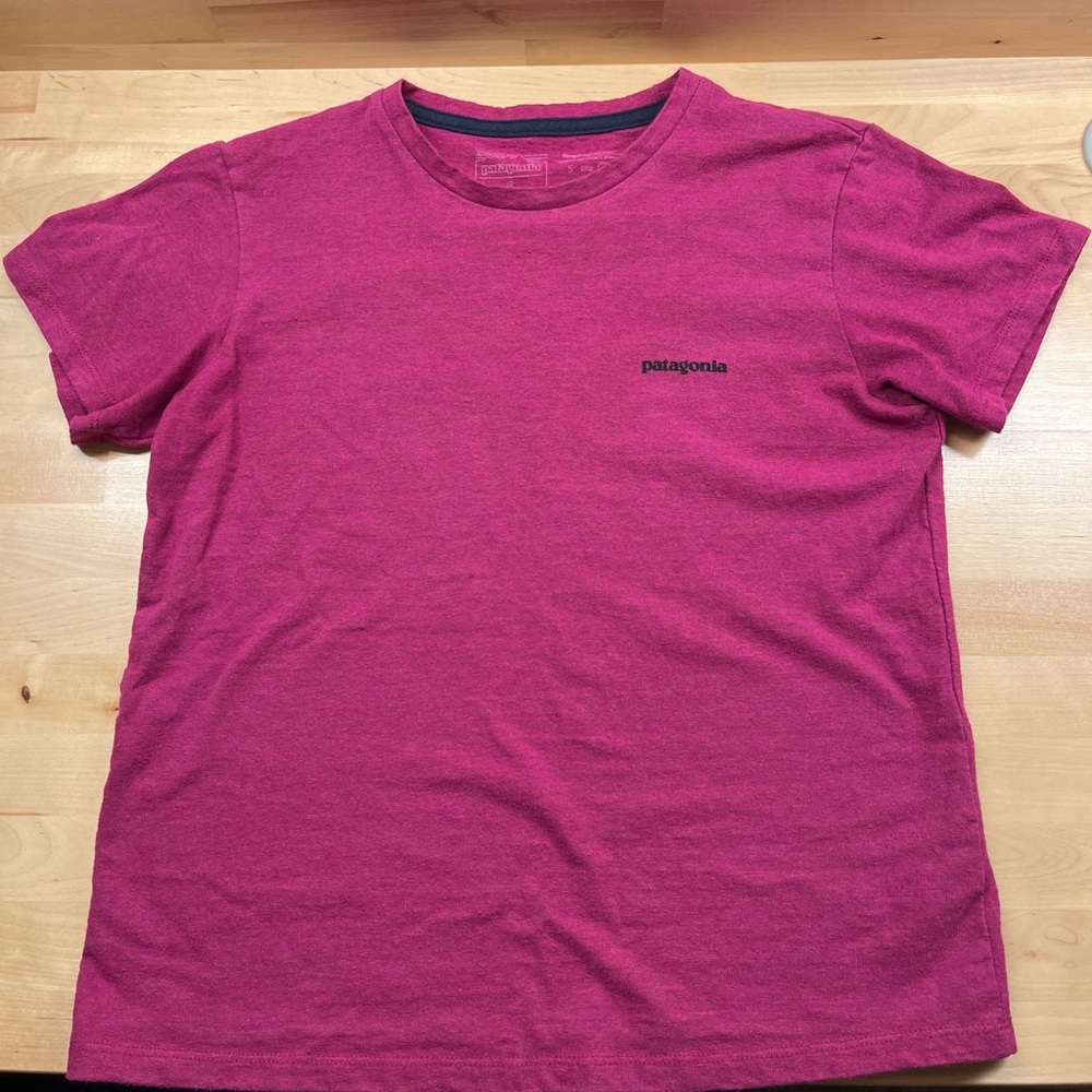 Patagonia t-shirt